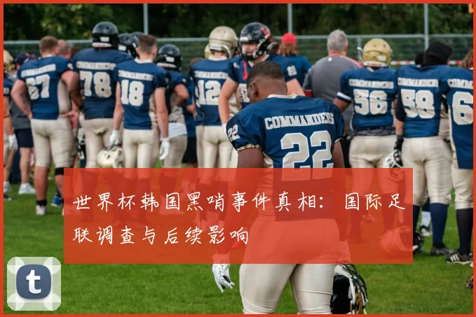 世界杯韩国黑哨事件真相：国际足联调查与后续影响