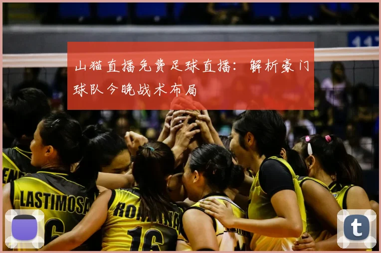 山猫直播免费足球直播：解析豪门球队今晚战术布局