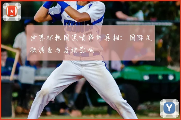 世界杯韩国黑哨事件真相：国际足联调查与后续影响