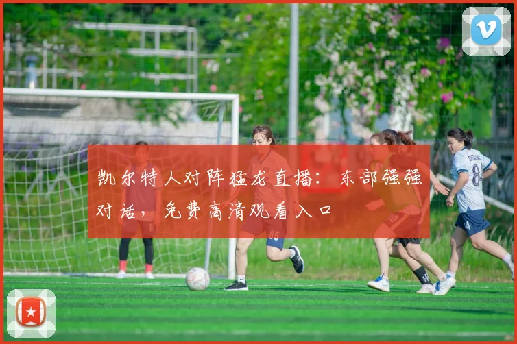 凯尔特人对阵猛龙直播：东部强强对话，免费高清观看入口