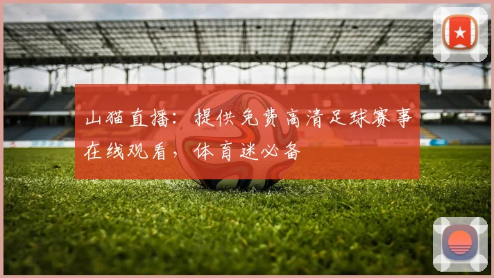 山猫直播：提供免费高清足球赛事在线观看，体育迷必备