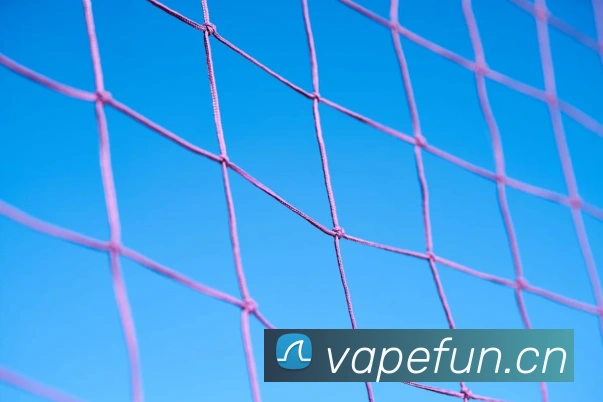 App Interface Preview